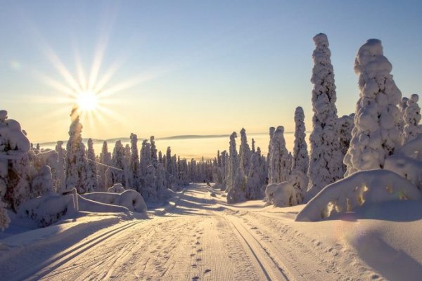 Что такое кракен плейс