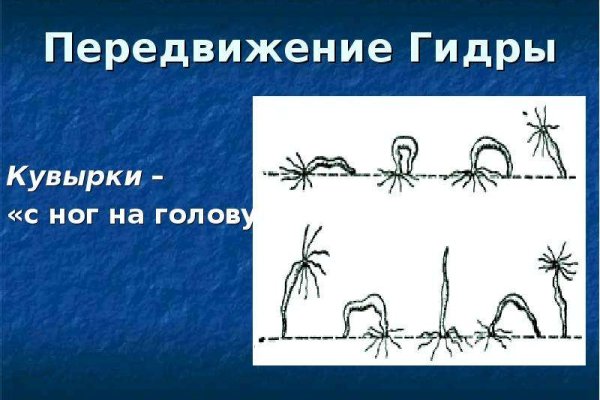 Tor зеркала